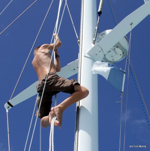 excellent at free climbing the mast